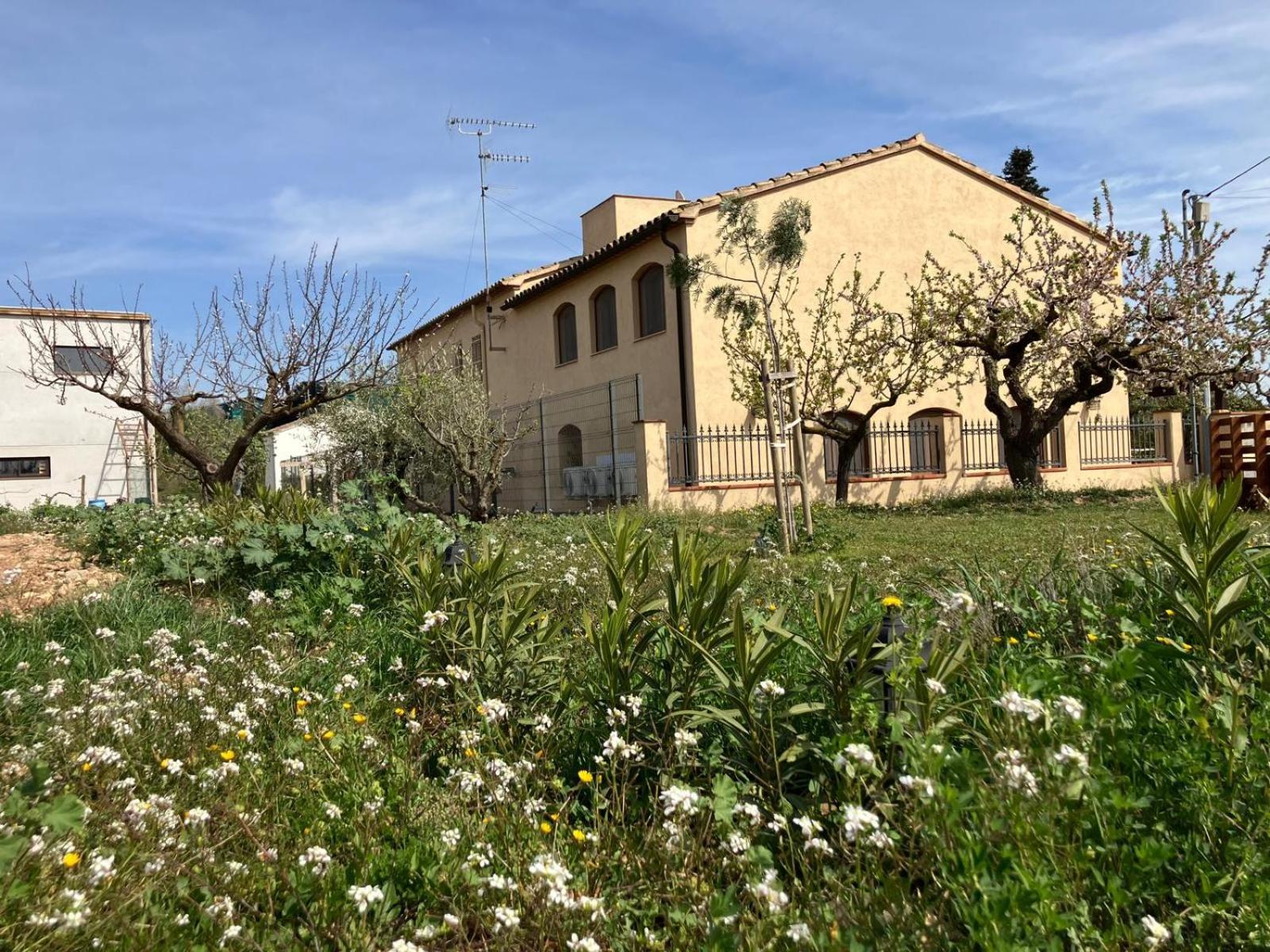 Apartment With Private Pool And Garden San Martín Sarroca Kültér fotó